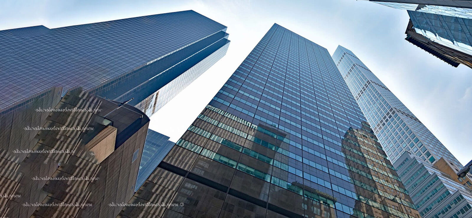 Corporate Profile