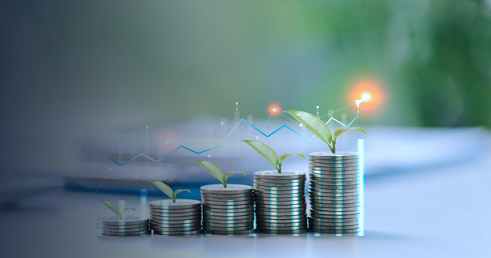 Economic Contribution